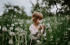 Find over 100+ of the best free dandelion images. Wallpaper Summer Grass Look Flowers Branches Park Mood Glade Child Spring Garden Meadow Girl Dandelions Sitting Flowering Images For Desktop Section Nastroeniya Download