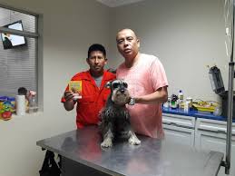 Veterinaria Liu
