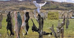 Bra Fence in Cardrona Valley, New Zealand - Encircle Photos
