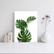 Tips memilih hiasan dinding ruang tamu. Jual Meisart Walldecor Hiasan Dinding Ruang Tamu Minimalis Daun Monstrea Terbaru Juni 2021 Blibli