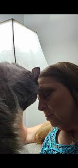 Cat loves plants, any funny stories?