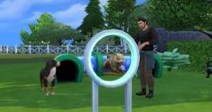 Image result for how to make a fully functional obstacle course in the sims 4 pets