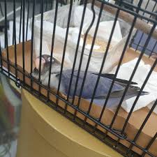 dewi lay (@dewilay91) • Instagram photos and videos