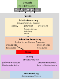 The richard lazarus and susan folkman model for stress developed in 1984, lazarus stress is defined as an imbalance between demands and resources. what the two researchers meant by this was that every person has resources and skills available to them. Stressmodell Lazarus Einfach Erklart Beispiele