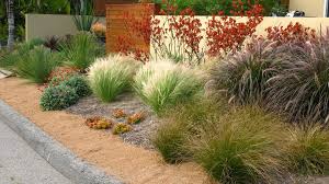 Contemporary Landscape With Bay Area Drought Tolerant Plants Traditional Landscape Drought Tolerant Landscape Modern Landscaping