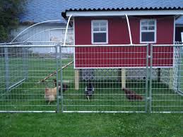 The Coop 25 Chickens Backyard Chicken Coop Run Raising Farm Animals