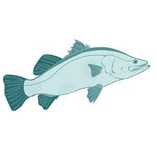 Ocean Fish Clipart Instant Download Digital Files Set Of 4 Etsy Drawn Fish Fish Clipart How To Draw Hands