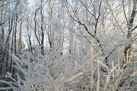 My name is cameron, i stream and upload mainly rust content to youtube! Landschaft In Frost Fotostrecke Wetteronline