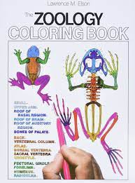 Download Amazon Com The Zoology Coloring Book 9780064603010 Elson Lawrence M Books
