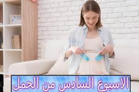 الاسبوع السادس من الحمل وحالة الأم والجنين
