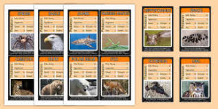 Choose a topic that you will be able to produce enough cards on. Make Your Own Top Trumps Style Card Game Primary Resources