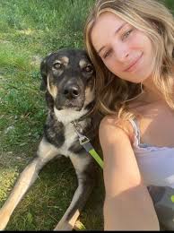 Hallo, ich suche (mit) für meine Tochter, Mitte 20 und ihre  Mischlingshündin Luna, 3,5 Jahre eine Wohnung in Wiesbaden und näherer  Umgebung,gerne im ländlichen Raum, da sie im Sommer einen Job im