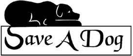 Save a dog & make a friend! Save A Dog Inc A Holistic Minded Humane Society Located In Massachusetts