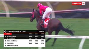 Stewards have launched an inquiry into the gathering, which is in breach of state government and racing victoria covid protocols. Elite Racing Solutions Eliteracingsol Twitter