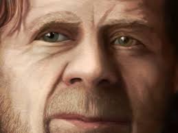 Shameless designs, themes, templates and downloadable graphic elements