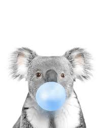 Black And White Safari Animal Prints Nursery Animals Set Of 4 Print Zebra Koala Giraffe Etsy In 2020 Animal Nursery Safari Animal Prints Elephant Black And White