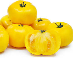 صورة Yellow Tomatoes