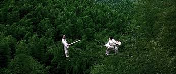 It is not unbelievable that zen warriors float through the air, skim the water and battle in trees and on rooftops. Crouching Tiger Hidden Dragon 2000 T100p