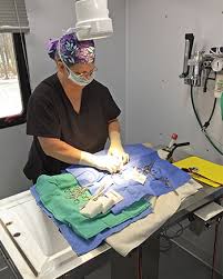 See more of mobile pet s'paw on facebook. Sorting The Science On Spay And Neuter Surgeries Veterinary Medicine At Illinois