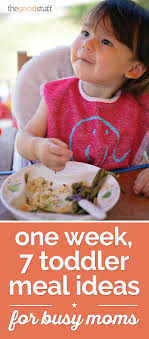 Over 50 easy toddler meals and food ideas for breakfast, lunch, and dinner. One Week 7 Toddler Meal Ideas For Busy Moms Coupons Com