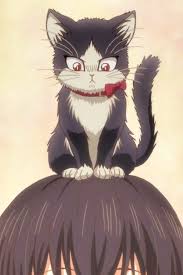 Doukyonin Wa Hiza Is Freaking Cute Anime Shelter Anime Anime Princess Anime Cat