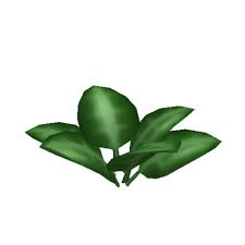 When planting the item in the pot, players will automatically water the plant. Gardening Welcome To Bloxburg Wiki Fandom