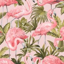 Flamingo Wallpaper Blush Pink Flamingo Wallpaper Blush Pink Wallpaper Pink Flamingo Wallpaper