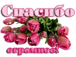 Купается розовый цветок » Гай ру — новости, объявления