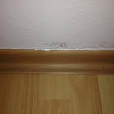 Durch das wachstum entsteht dann sichtbarer schimmelbefall. Schimmel Mieter Wohnung Vermieter Mietwohnung