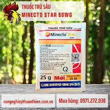 Minecto Star 60WG