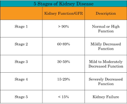 Image result for Renal Function