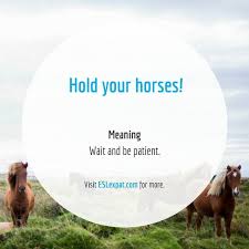 Idiom Hold Your Horses Idioms Phrases Expressions Followme Likeforlike Visit Eslexpat Com For More English Idioms Idioms And Phrases English Phrases
