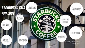 If you need professional help with completing any kind of homework, online essay help is the right place to get it. Smart Idea Cell Analogy Project Ideas Starbucks