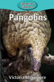 Members of the species inhabit africa with a range stretching along the equator from west africa to uganda. Pangolins Elementary Explorers Amazon De Blakemore Victoria Fremdsprachige Bucher