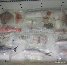 Mancing dasaran, ruby snapperpancer banyuwangi Waklaut Waklaut Harga Ikan Kurisi Beku Rp 27 000 1000