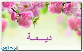 معنى اسم ديمة وصفات شخصيتها dima موقع محتوى