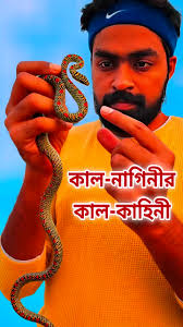 Florida Woman Chooses Jail Over 25 Minute Wait For Her Husband