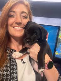 What I look like between my weather segments this morning. Should I steal  river from my producer?