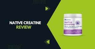 Native Creatine: Does This Blend Deliver Real Recovery Benefits? -  Sustainable Food Trade Association| Sustainable Food Trade Association