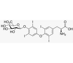 Image result for Thyroxine