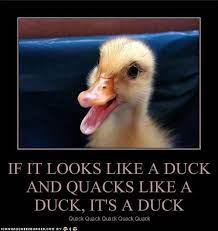If It Looks Like A Duck And Quacks Like A Duck It S A Duck Assessment Ecommerce Duck Quotes
