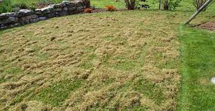 Theoretisch können sie die gesamte gartensaison über ihren rasen vertikutieren. Richtiges Vertikutieren In 4 Schritten Hauert Rasenblog