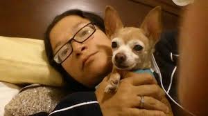 Restoring Family Harmony, 1900 Point West Way, Ste 146, Sacramento, CA  95815, US