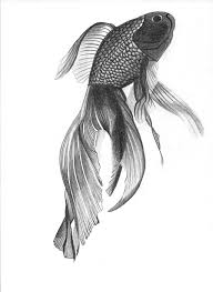 Jun 02, 2021 · the look of the film's appealing sea monsters was based on illustrations of the classic creatures seen in old renaissance maps as well as scientific drawings of fish from the region and japanese. Drawing Pencil Koi Fish Novocom Top