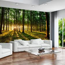 Vlies Tapete Top Fototapete Wandbilder Xxl 350x256 Cm Wald Sonnenschein Natur Fototapete Wandbilder Wohnzimmer Wald Tapete
