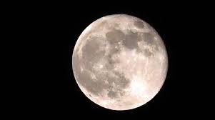 Calendario lunare della semina per orto e giardino. 4fx8plox5ctkkm
