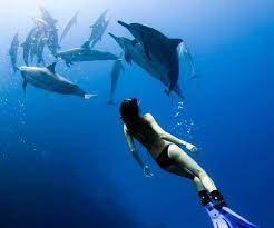 Reddit Cakeday Photodump Destinos Para Viajar Bajo El Mar Buceo