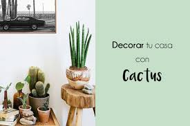 El cactus es una variedad suculenta de la familia de las cactáceas, que se divide en 170 géneros y más de 2.000 especies conocidas. Ideas Decorativas Un Cactus Para Tu Casa