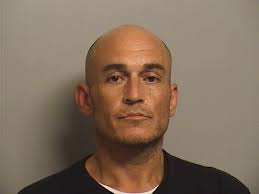 UPDATE: Johnnie Snodgrass charged for animal cruelty. Back in July, we  posted about a family's truck being stolen with their three dogs inside.  The dogs were found deceased hours later in a