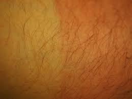 تفسير حلم رؤية شعر الساق أو شعر الجسم في المنام لابن سيرين